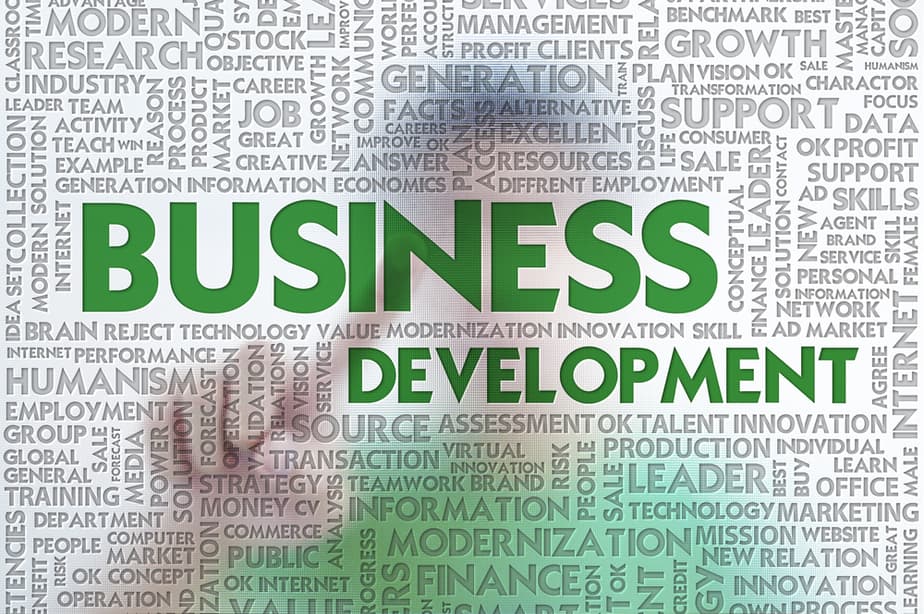 Understanding the Concept of Business Development