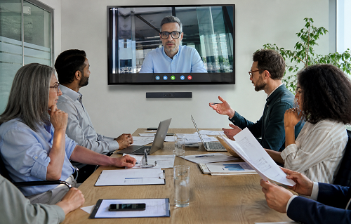 SME owner discussing business strategy during remote coaching session