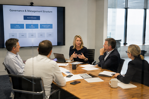 Executive leadership team discussing governance and management structures