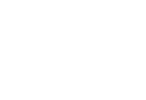 Scatter