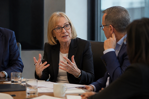 Non-executive director participating in governance discussion