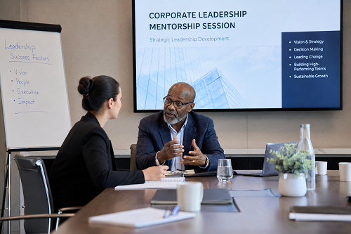 Executive leadership development coaching