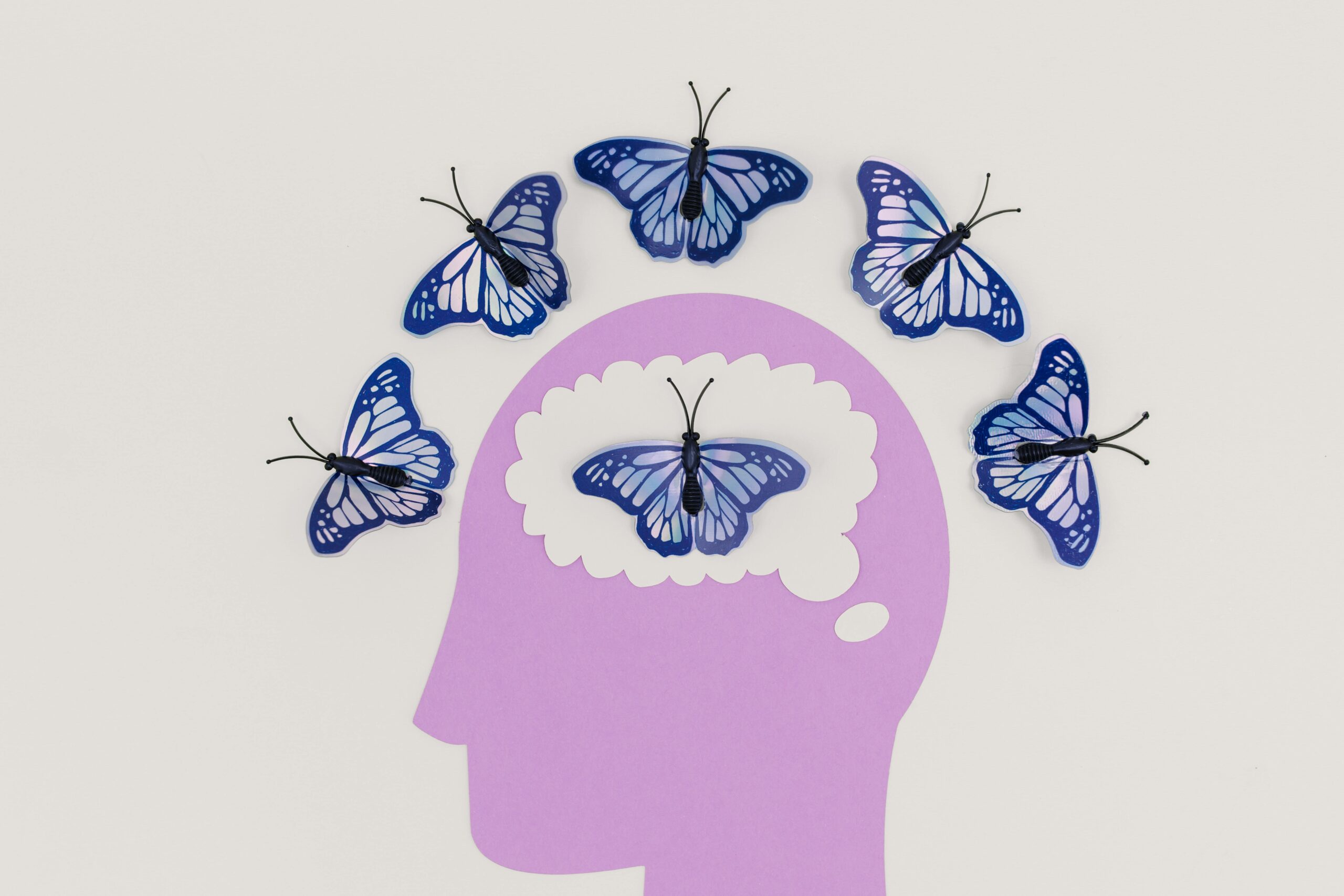 An image of the head with butterflies representing how to master your Mindset