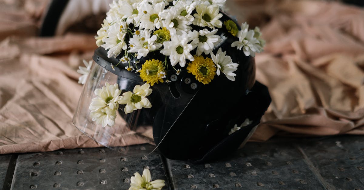 pexels-photo-6668799