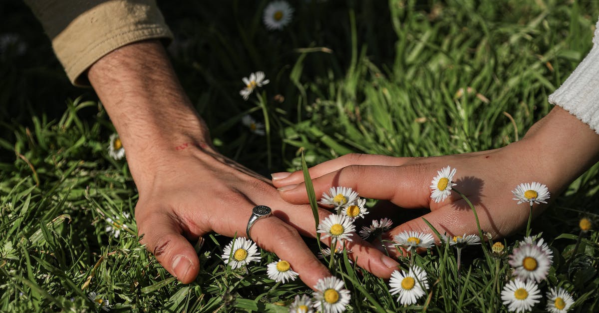 pexels-photo-6962611